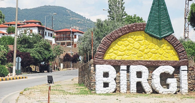 Birgi