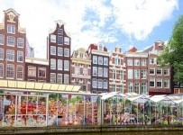 Amsterdam Çiçek Pazarı (Bloemenmarkt)
