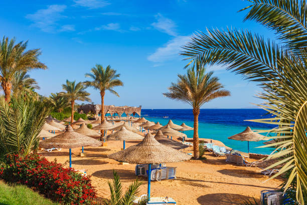 Sharm El Sheikh