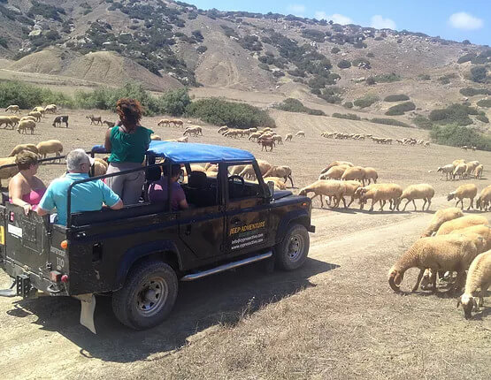 Jeep safari ile bağ ve tadım turu