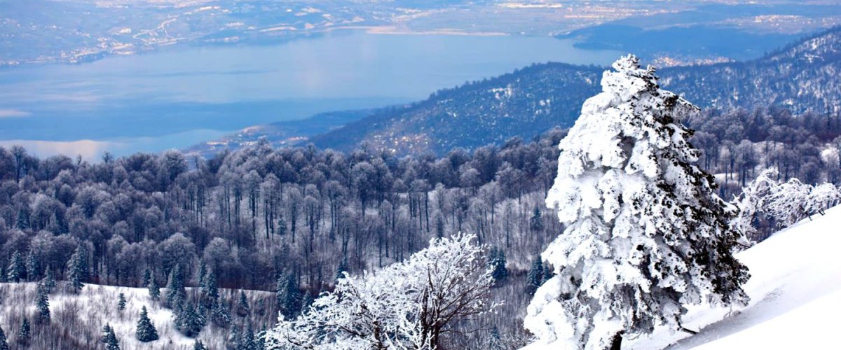 Kartepe