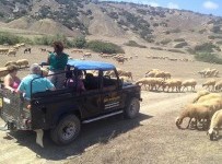 Jeep safari ile bağ ve tadım turu
