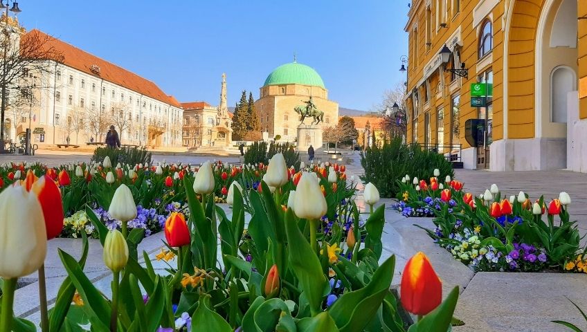 Pécs