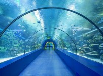 Tema Park Antalya Aquarium