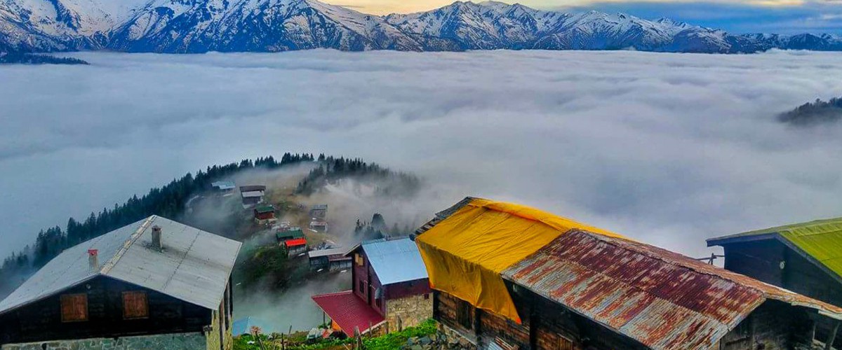 Pokut Yaylası