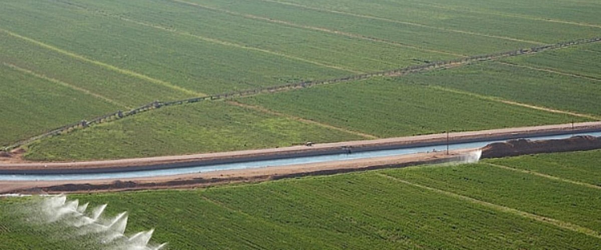 Harran Ovası