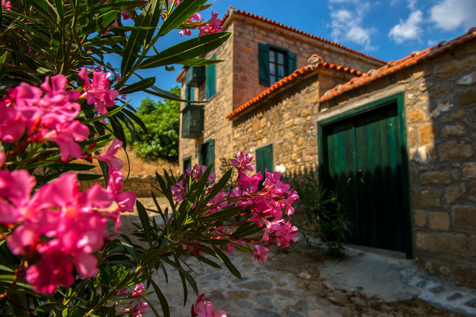 Çanakkale Kazdağları Bozcaada Turu