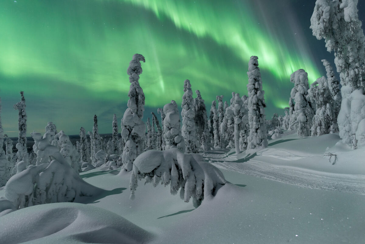 Ercan Çıkışlı Lapland Turu Beyaz Rotalar