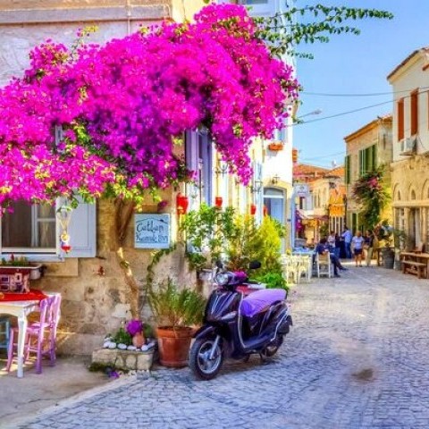 Çanakkale Kazdağları Bozcaada Turu