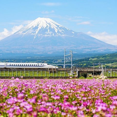 Ercan Çıkışlı Sakura Dönemi Japonya Turu