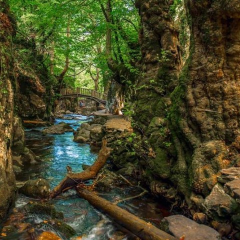 Kazdağları – Çanakkale – Bozcaada – Cunda